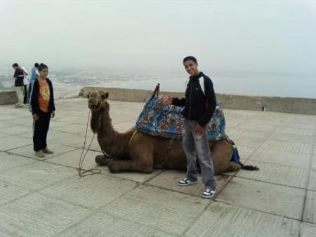 agadir oufffffaaallaaaaaa